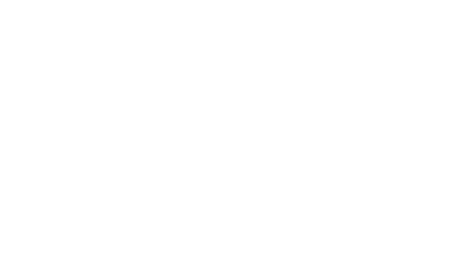 Dream International
